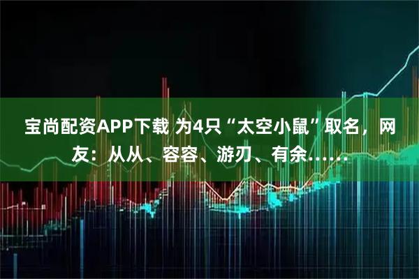 宝尚配资APP下载 为4只“太空小鼠”取名，网友：从从、容容、游刃、有余……