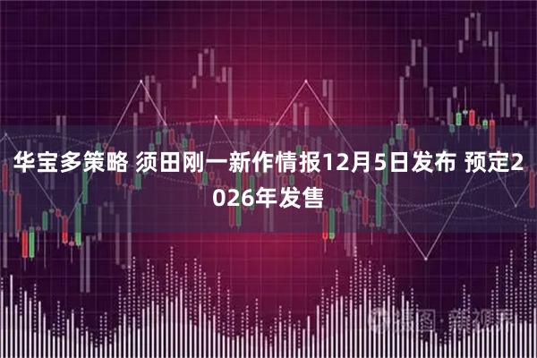 华宝多策略 须田刚一新作情报12月5日发布 预定2026年发售
